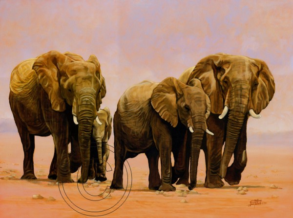 "In Step" Elephants